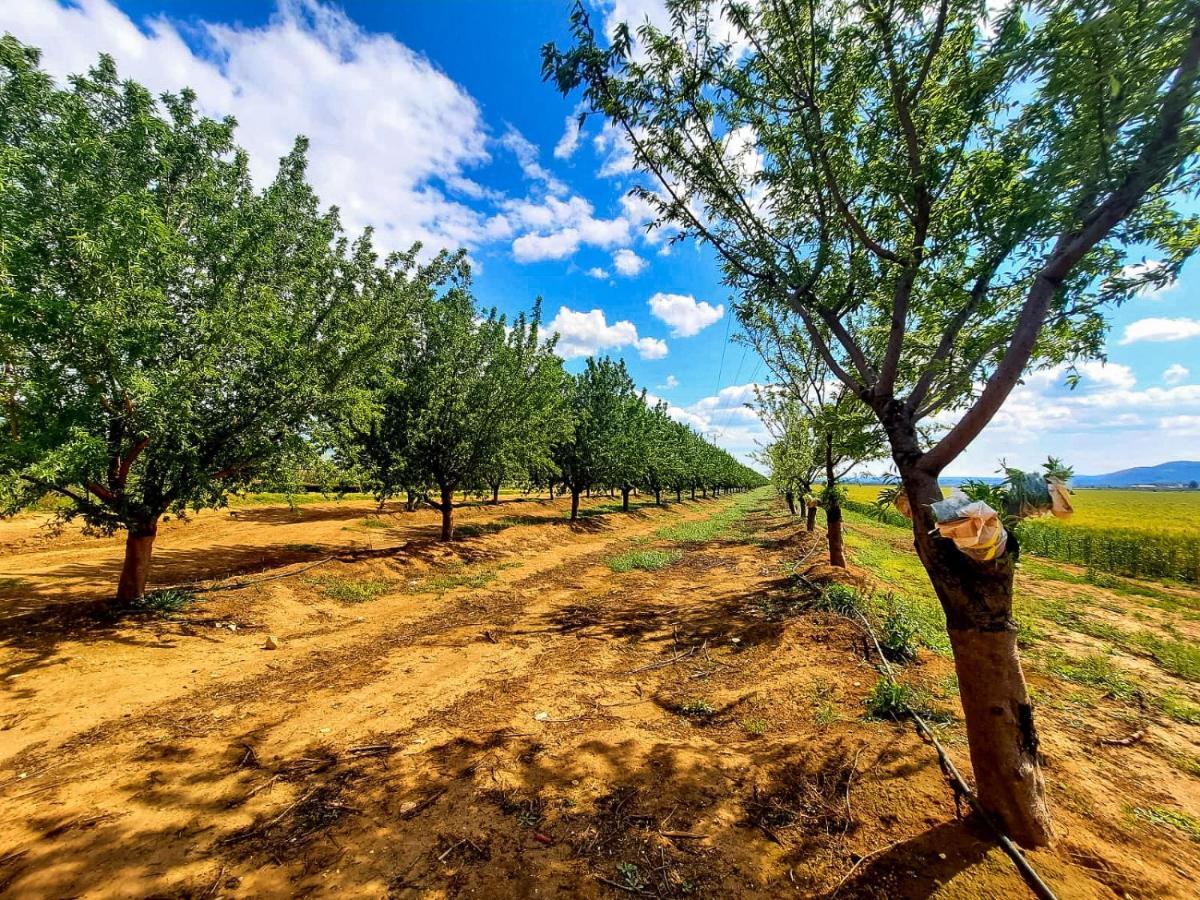 בית קסום בשדה נחמיה Villa Buitenkant foto